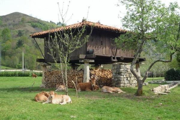 Hotel Rural Sucuevas (Adults Only) Llano-Con Extérieur photo
